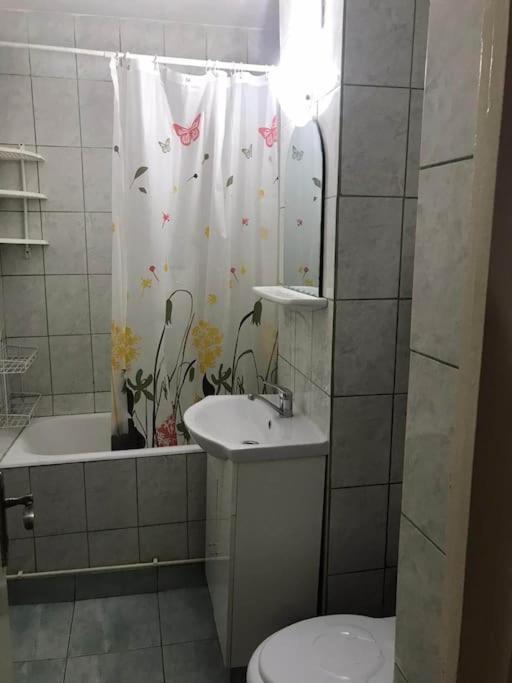 Apartament Confortabil ピテシュティ エクステリア 写真