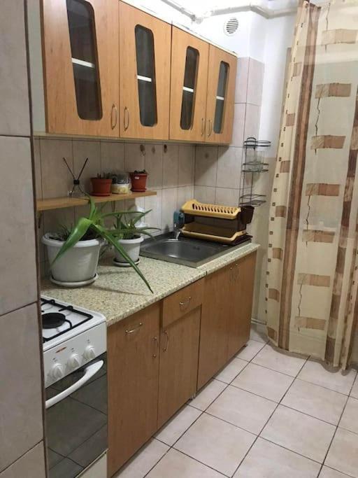 Apartament Confortabil ピテシュティ エクステリア 写真